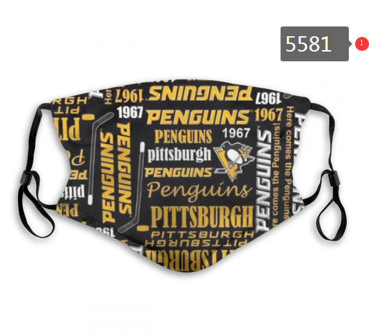 2020 NHL Pittsburgh Penguins #4 Dust mask with filter